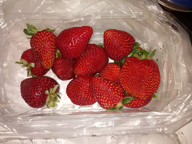 La Pica 13 La Herradura