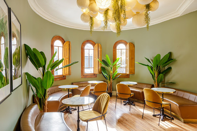 Gracielo Bar - Gastronomía y hostelería