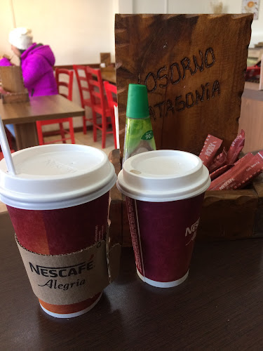 Osorno Patagonia 2.0