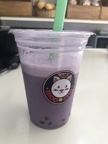 Mochá Buble Tea - Gastronomía y hostelería