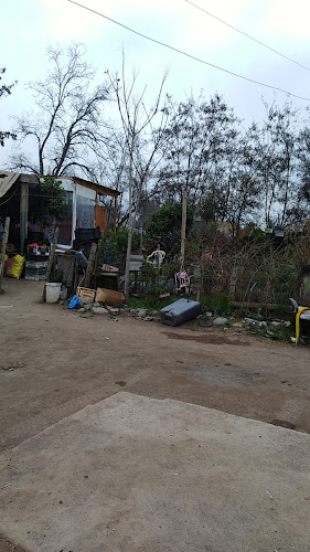 Comentarii opinii despre Donde DON OSCAR