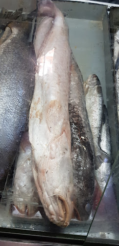 Pescadería donde Cachimbita Open Times