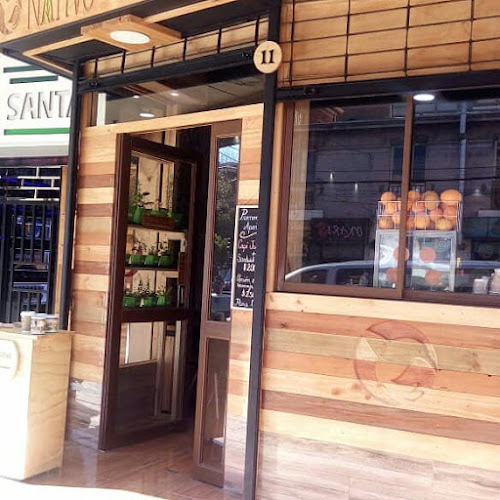 Nativo Viña - Viña del Mar