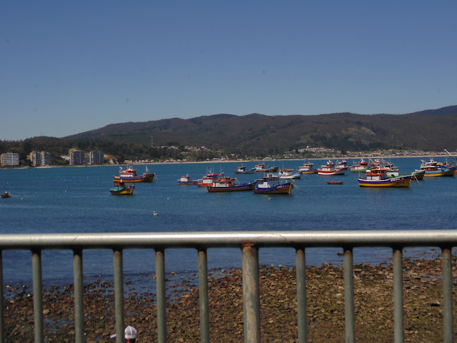 los morros 2190, Coliumo, Tomé, Bío Bío