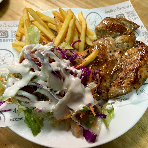 Comentarii opinii despre Andino Broaster