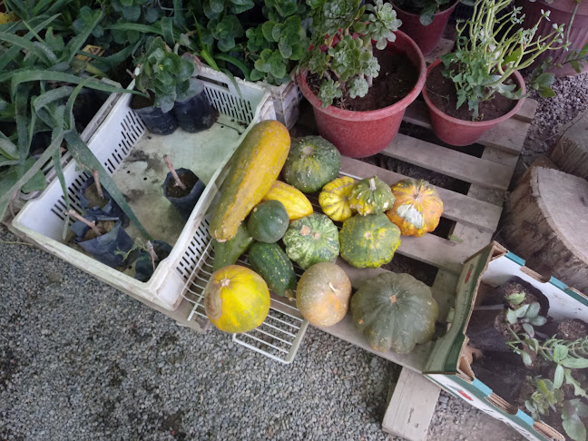 Comentarii opinii despre Hornitos de Punta Azul