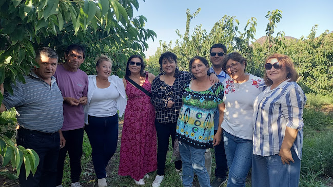 Fundo El Parrón - Gastronomía y hostelería