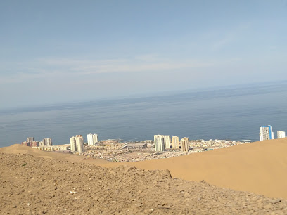 Nila Purisima Ibacache Badillo Servicios y Mantencion Eirl