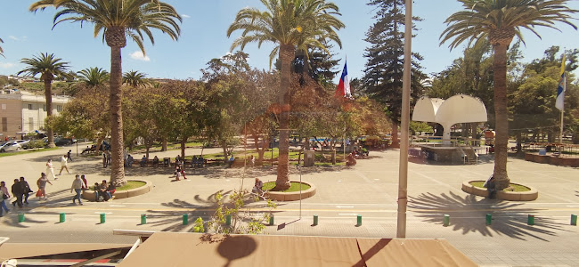 Comments and reviews of Cafe del centro