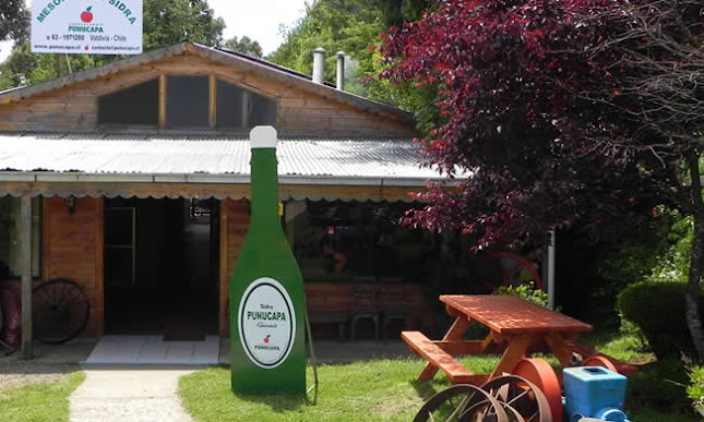 Sociedad Agropecuaria Punucapa S.A.