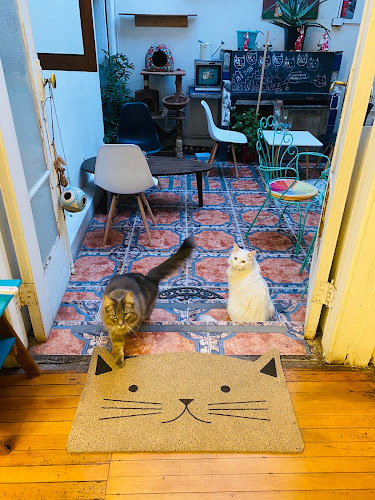 Tetería Cleopatra Chile - Gastronomía y hostelería