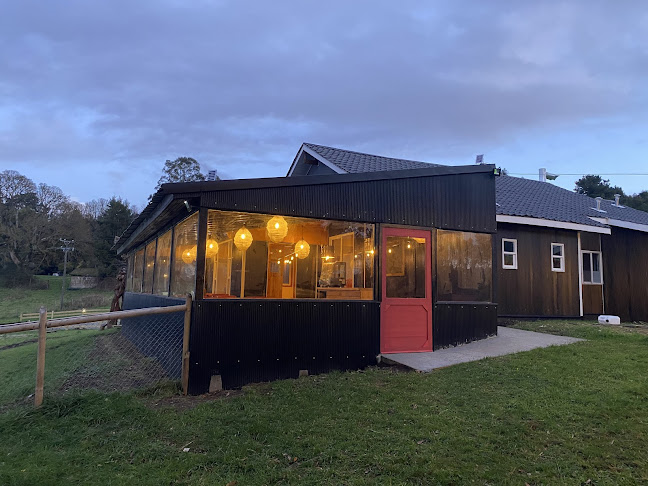 Comentarii opinii despre Cerveza 860 - Restaurante y Barra Cervecera