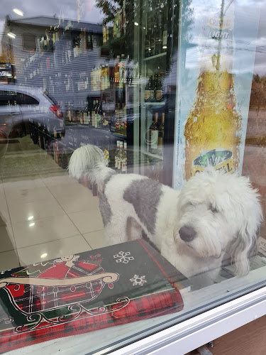 Opinii despre Botilleria Blanco Encalada în Natales - Gastronomía y hostelería