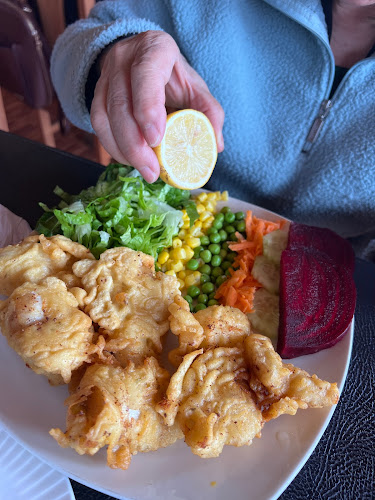 Conisidorita beach Open Times