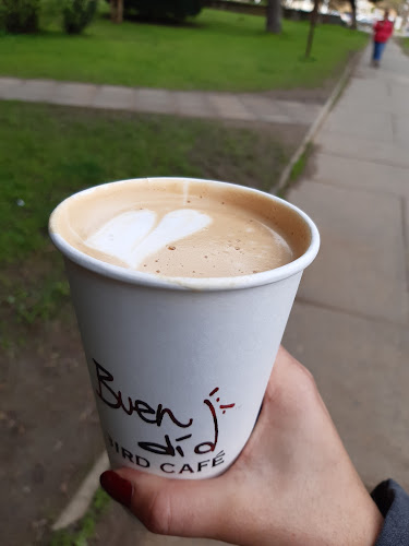 Bird Cafe - Gastronomía y hostelería