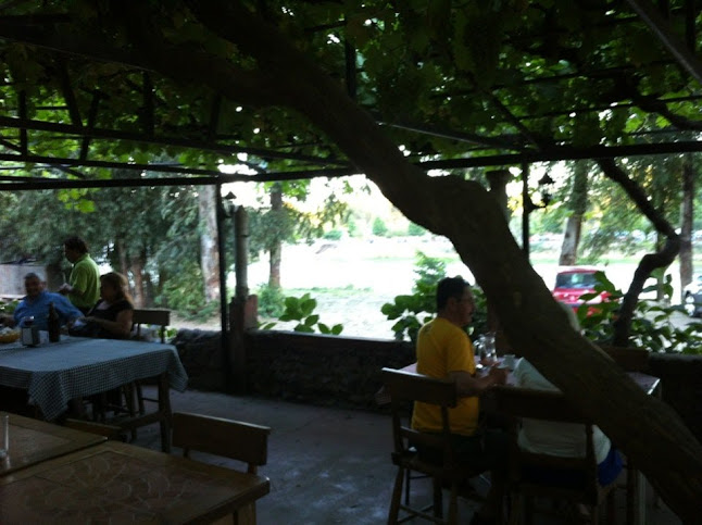 Opinii despre Los Olivares în Maule - Gastronomía y hostelería