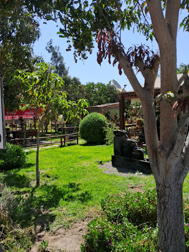 Entre Olivos - Arica