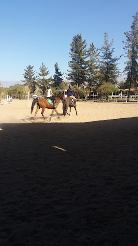 Carnes V.I.P - Gastronomía y hostelería