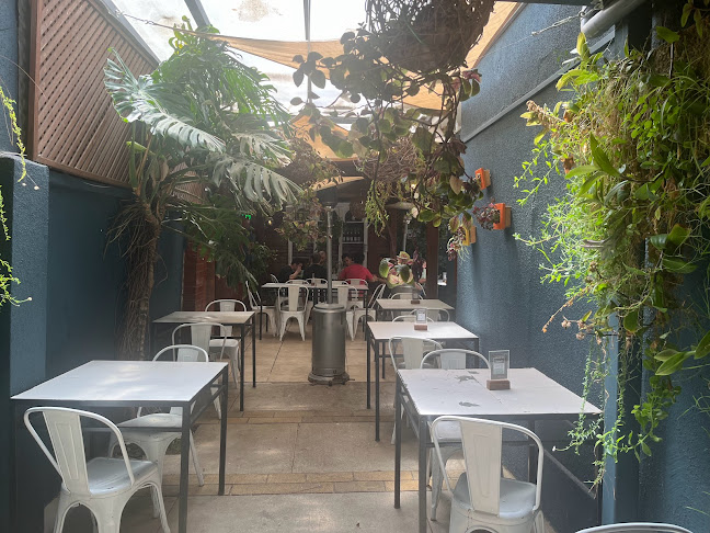 Flora - Viña del Mar