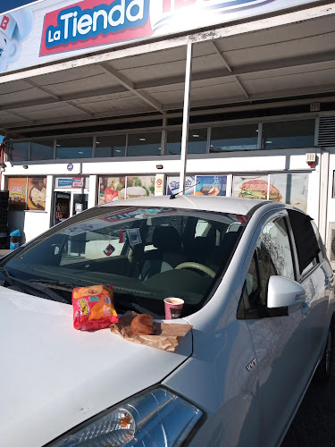 Bimbo - San Bernardo