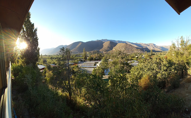 Jopia restaurant Phone number