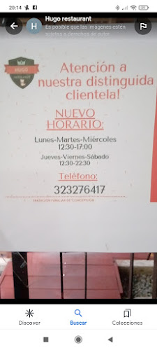 Reviews of Hugo restaurant in Concepción - Gastronomía y hostelería