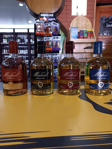 Minimercado del Licor 2.0 - Maipú