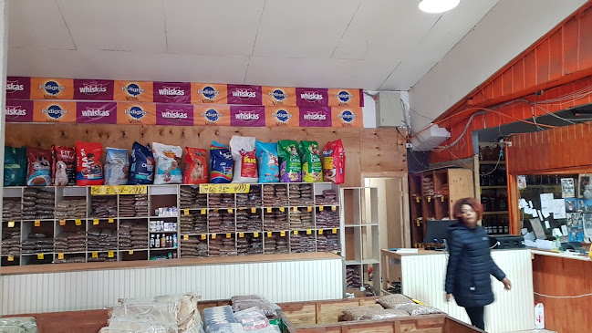 Francisco Bilbao 1591, Temuco, Araucanía, Chile