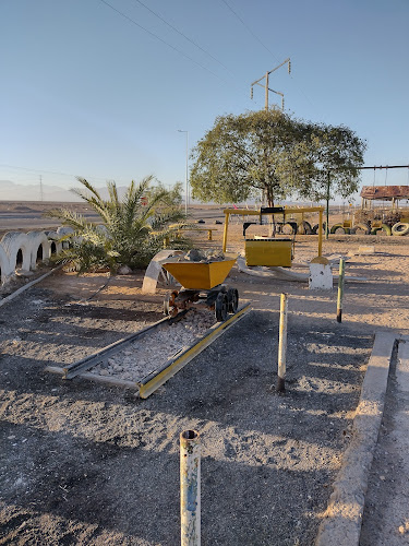 Comentarii opinii despre Desierto Florido Atacama