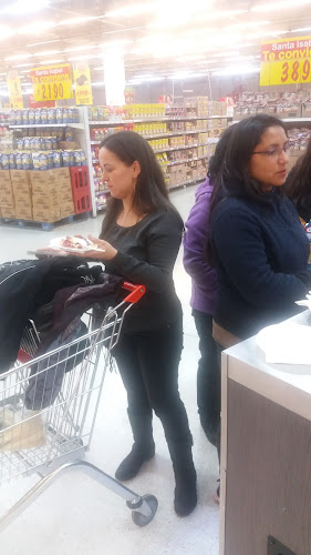 Av. Lo Martínez 1581, 8822958 Santiago, La Pintana, Región Metropolitana