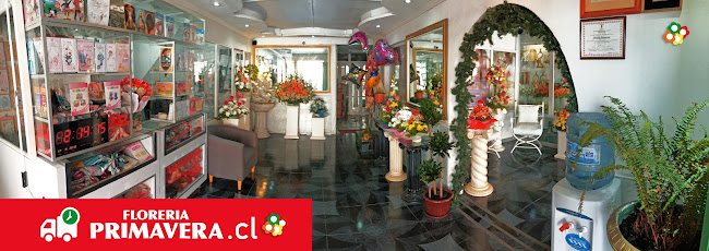 14 de Febrero 3137, 1240000 Antofagasta