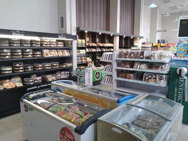 Masapan | Panadería y Pastelería Artesanal