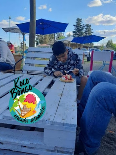 Comments and reviews of Kocobongo