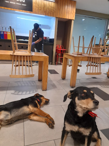 Comentarii opinii despre Upa