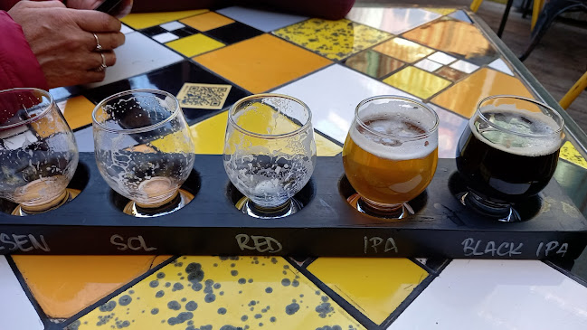 Saelzer 41, 5110208 Valdivia, Los Ríos