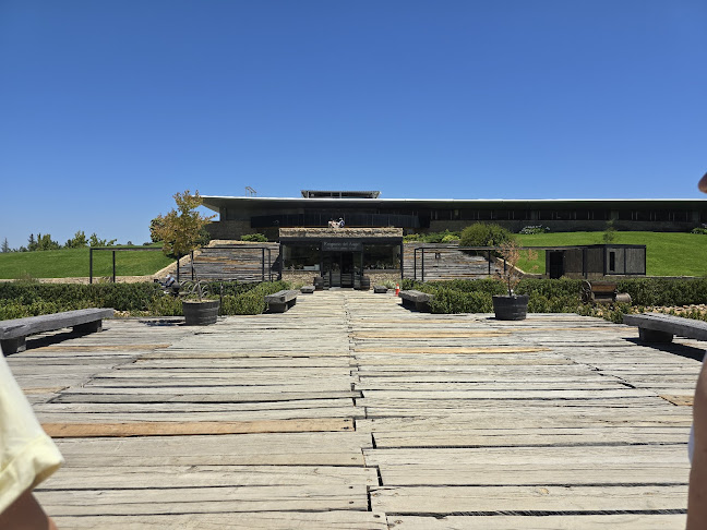 I-350, 3130000 Santa Cruz, O'Higgins