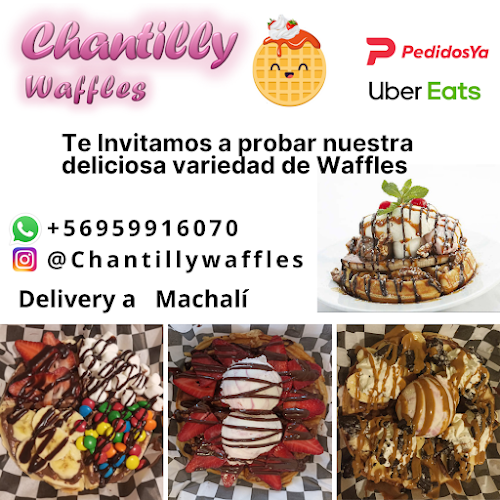 Chantilly Waffles - Machalí
