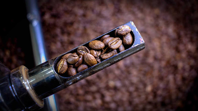 Intenzzo Coffee Roasters