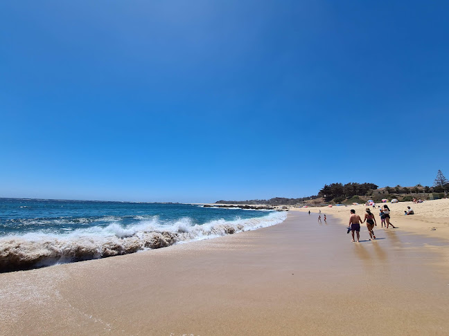 Terrazas Punta De Tralca - Gastronomía y hostelería