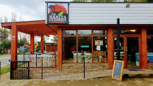 La Ranita de Darwin - Panguipulli