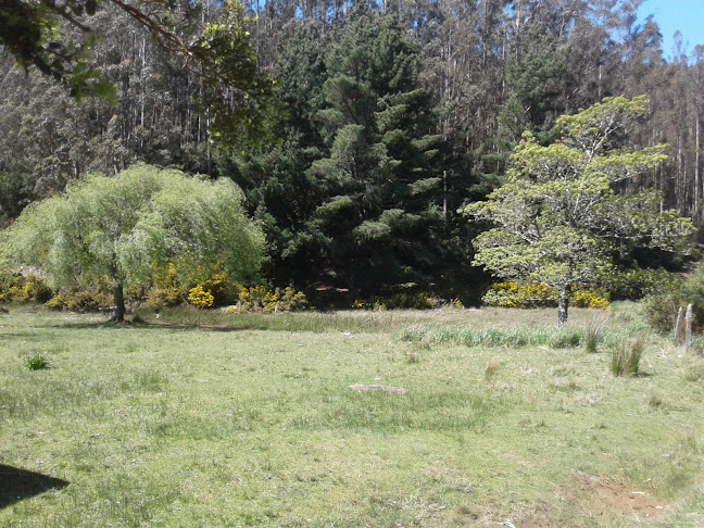 Comentarii opinii despre Restauran Y Camping Don De Siempre