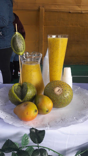 La Gran feria - Av. Tte. Hernan Merino No. 3018 con, Av. los Álamos, Alto Hospicio, Tarapacá