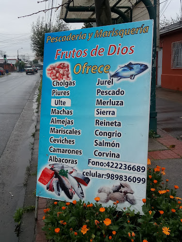 Opinii despre Frutos de Dios în Chillán - Gastronomía y hostelería