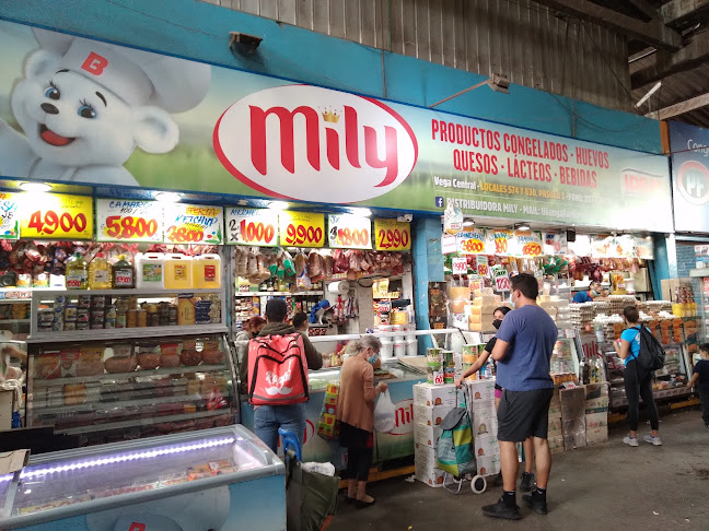 Vega Central de Santiago