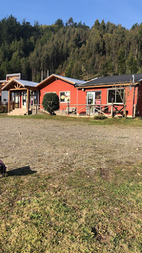 Comentarii opinii despre Cecinas Grau