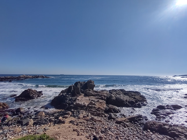 Av. Borgoño 17150, Viña del Mar, Valparaíso