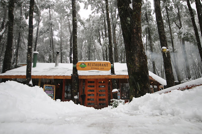 Kilometro 8, Camino Volcan Villarrica Pucón, 4920000 Araucanía
