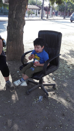 "El Cebolla Tapia" Phone number