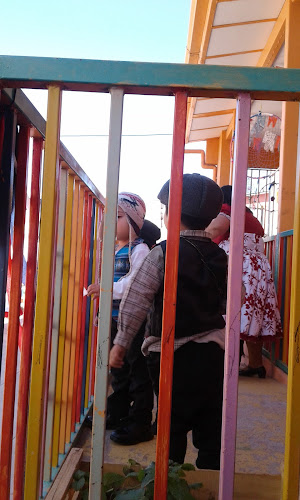 Av. Sgto. Aldea 474, Vicuña, Coquimbo