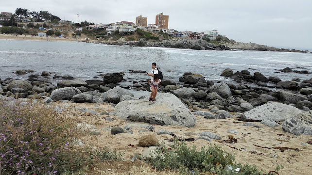 Hosteria La Candela - Isla Negra
